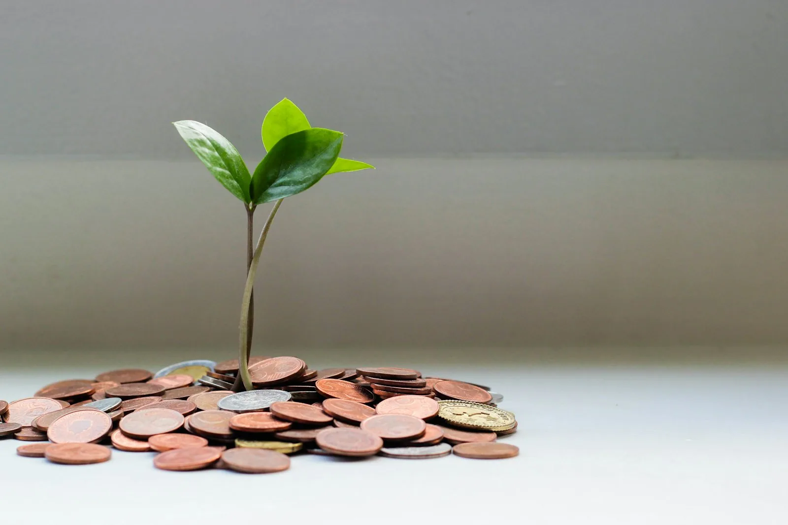 AI automation for lending & mortgage companies